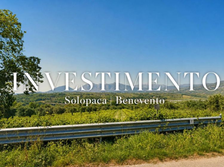 Terreno industriale o artigianale in vendita, Contrada Sala, Solopaca