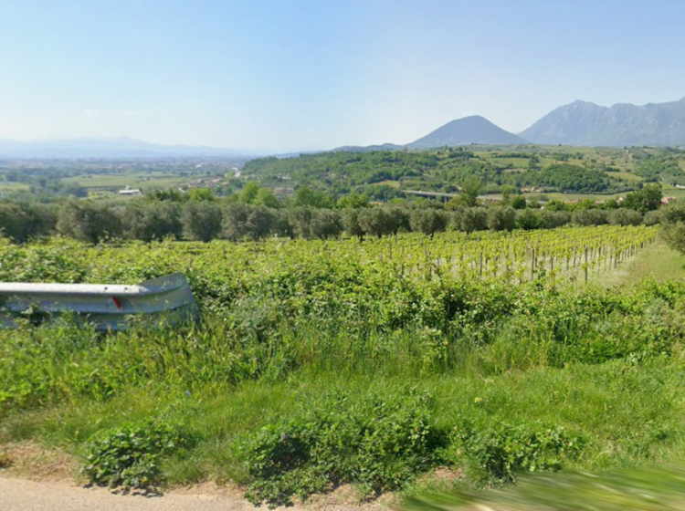 Terreno industriale o artigianale in vendita, Contrada Sala, Solopaca
