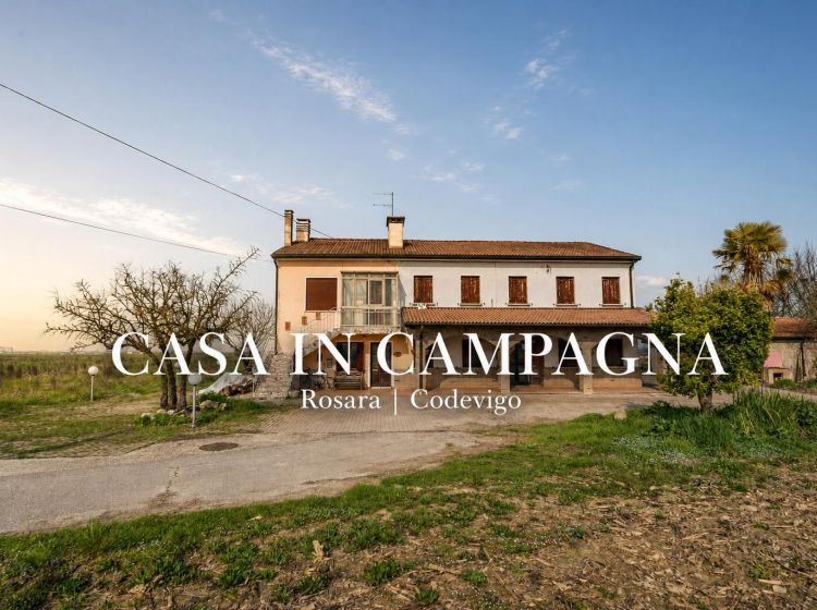 Casale in vendita, via Bosco  29, Rosara, Codevigo