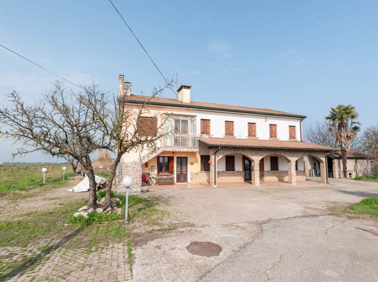 Casale in vendita, via Bosco  29, Rosara, Codevigo