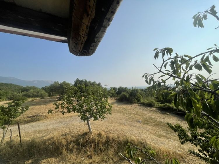 Terreno agricolo in vendita, via Difesa Monti, Matinella, Albanella