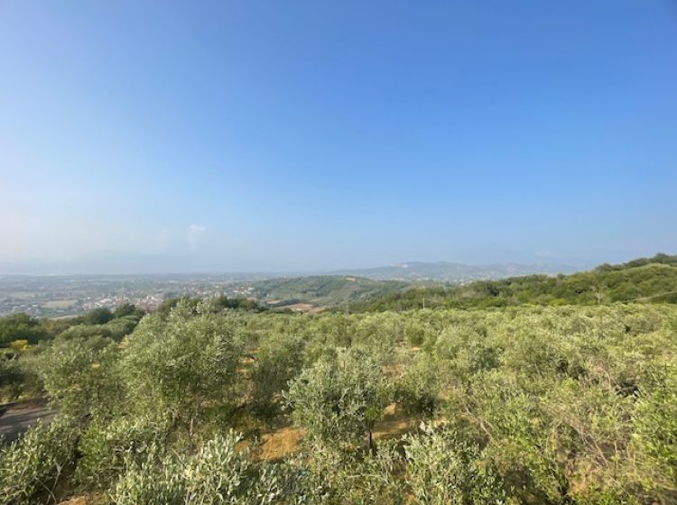 Terreno agricolo in vendita, via Difesa Monti, Matinella, Albanella
