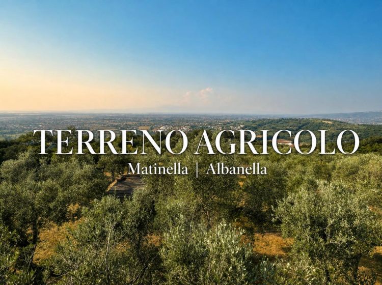 Terreno agricolo in vendita, via Difesa Monti, Matinella, Albanella