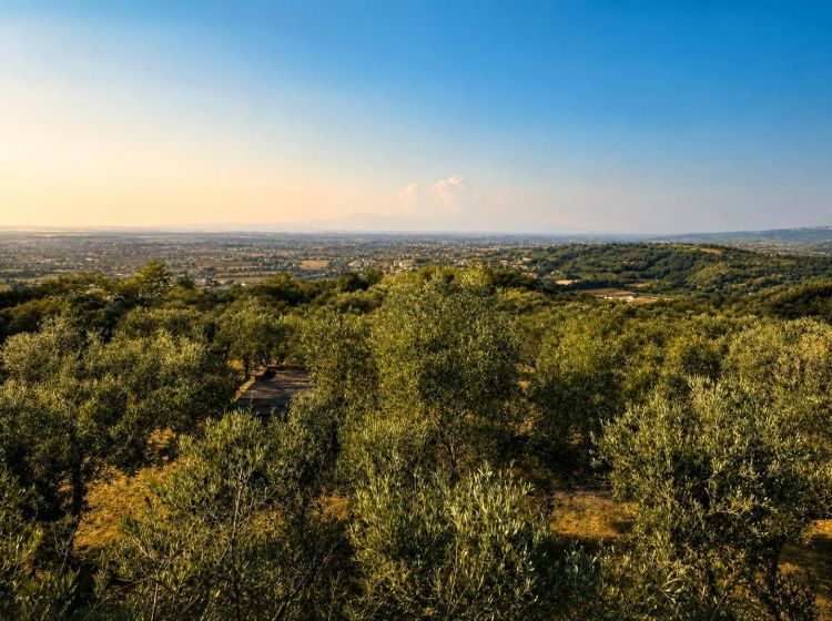 Terreno agricolo in vendita, via Difesa Monti, Matinella, Albanella