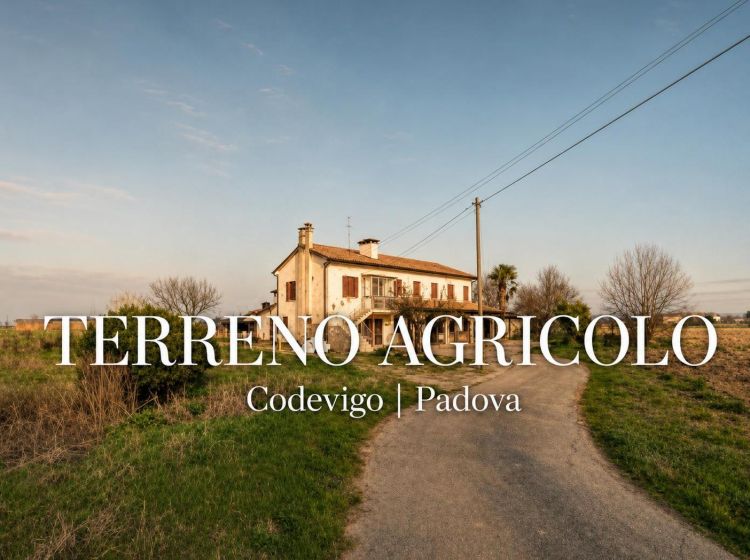 Terreno agricolo in vendita, via Bosco  29, Codevigo