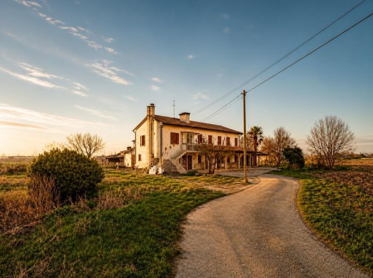 Terreno agricolo in vendita, via Bosco  29, Codevigo