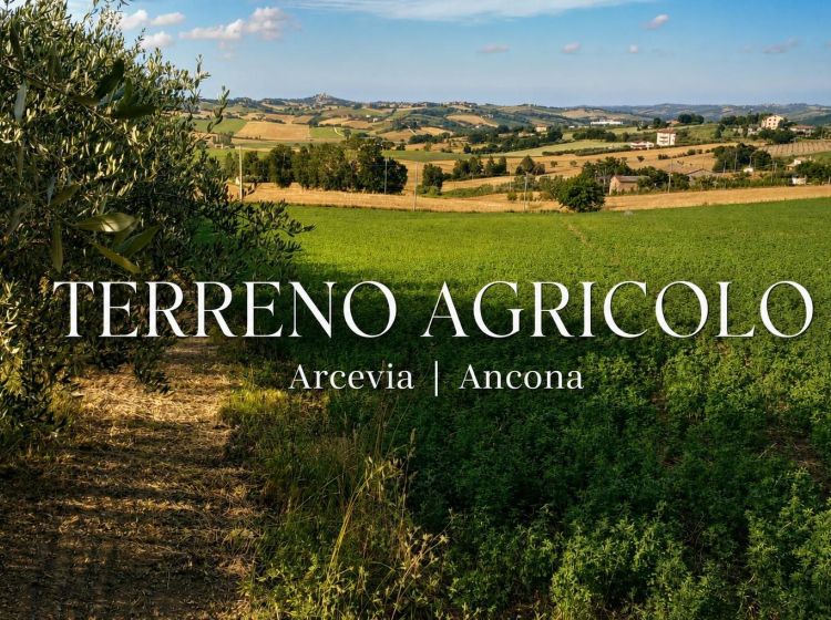 Terreno agricolo in vendita, Frazione Montale  136, Arcevia