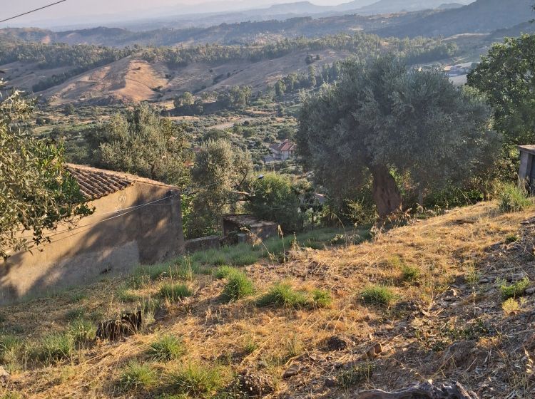Terratetto unifamiliare in vendita, Contrada Prisdarello, Gioiosa Ionica