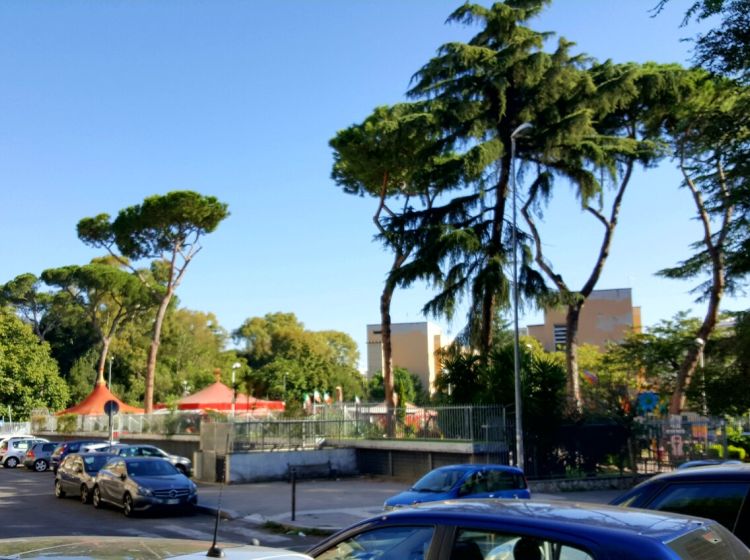 Negozio in affitto, via Ignazio Giorgi, Bologna, Roma