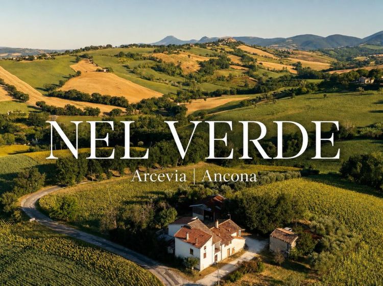 Terratetto plurifamiliare in vendita, Frazione Ripalta, Arcevia