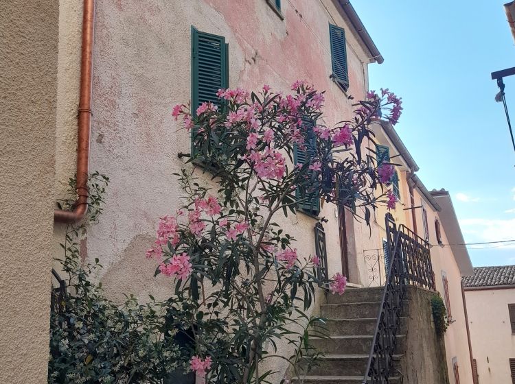 Terratetto unifamiliare in vendita, Vicolo Santa Maria  7, Trevinano, Acquapendente