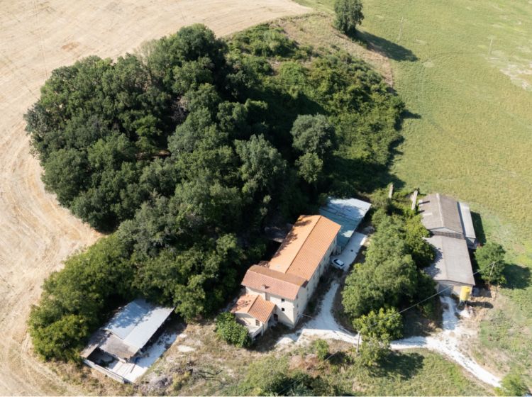 Terratetto plurifamiliare in vendita, via San Giovanni Battista snc, Arcevia