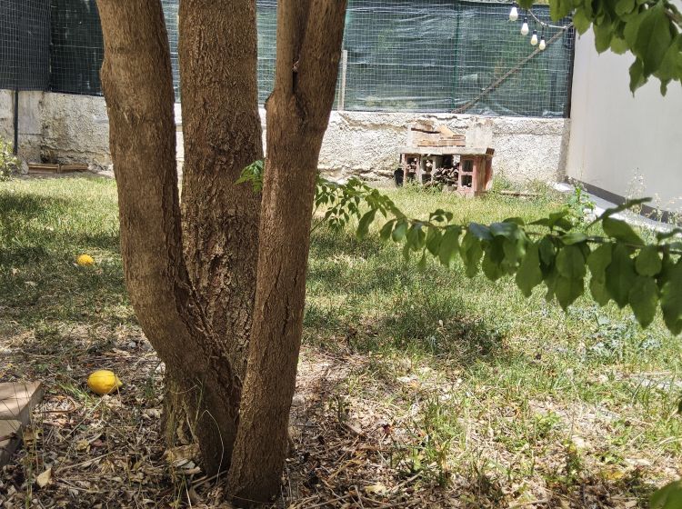 Terratetto unifamiliare in vendita, Largo Cappellini, Gioiosa Ionica