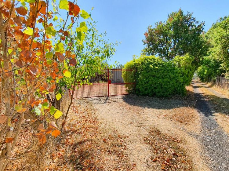 Terreno agricolo in vendita, via Sasso San Pellegrino, Viterbo