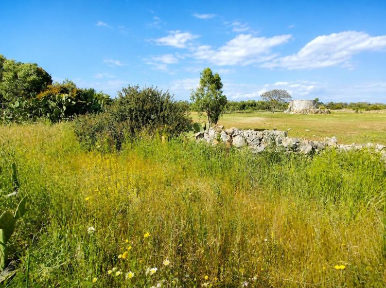 Terreno residenziale in vendita, via Pilella, Alliste