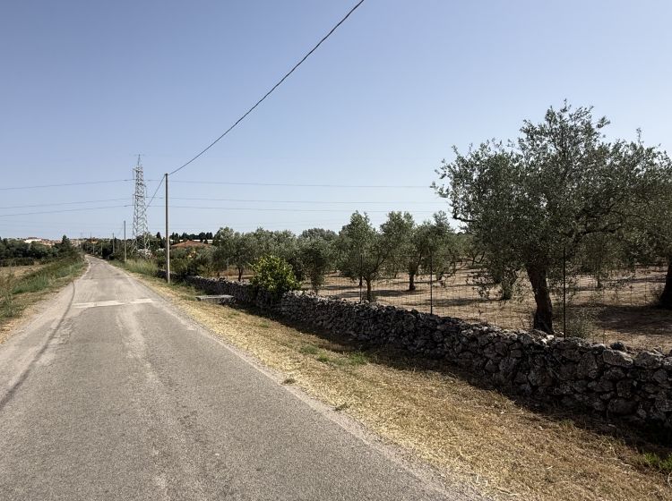 Terreno agricolo in vendita, Florinas  SS  Italia, Florinas