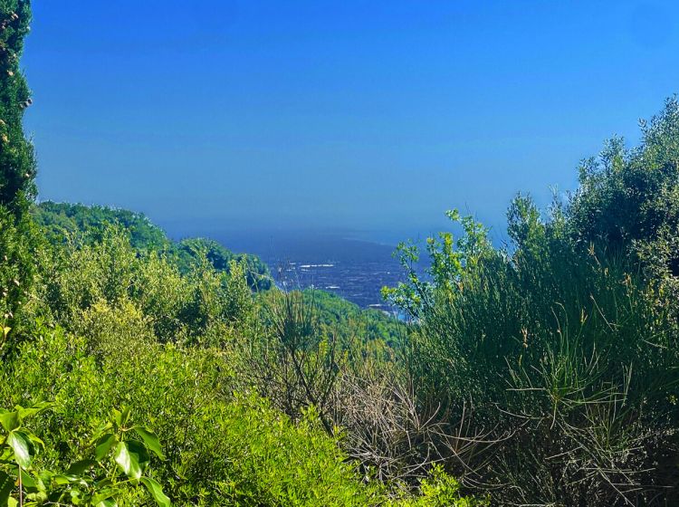 Villa in vendita, via Camaldoro 24, Pietrasanta