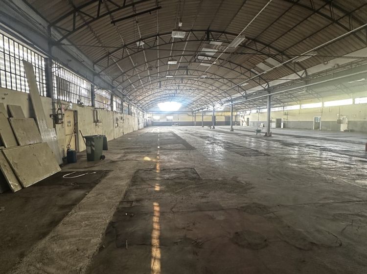 Capannone in vendita, via Novi  44, Basaluzzo