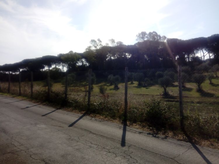 Terreno residenziale in vendita, via della Castelluccia di San Paolo, Cecchignola, Roma