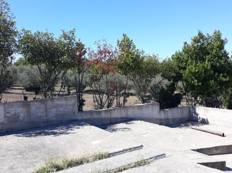 Azienda agricola in vendita, Località Greppo Marino snc, Blera