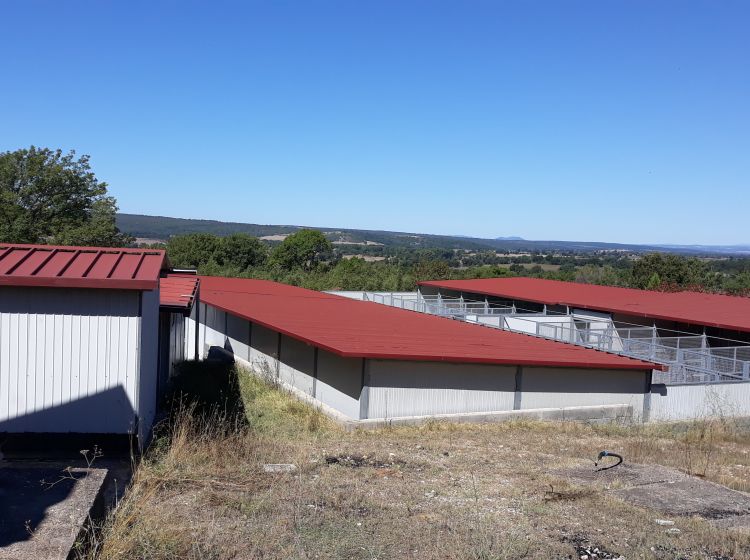 Azienda agricola in vendita, località Greppo Marino Snc, Blera
