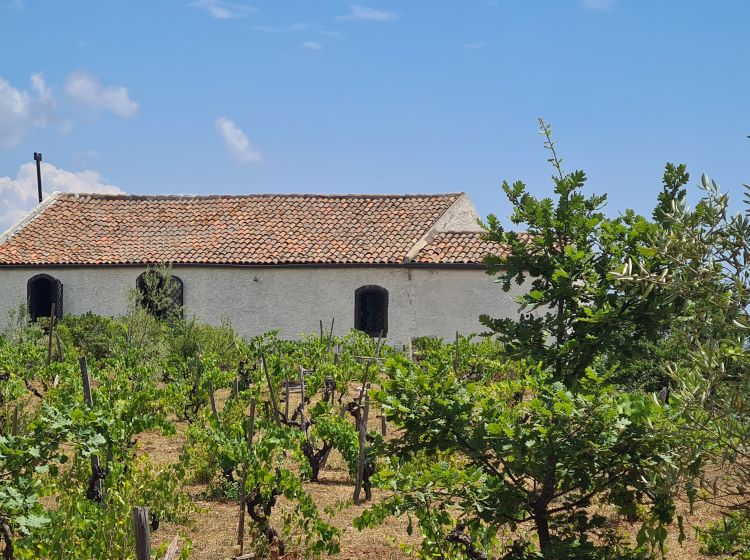 Casale in vendita, Linguaglossa