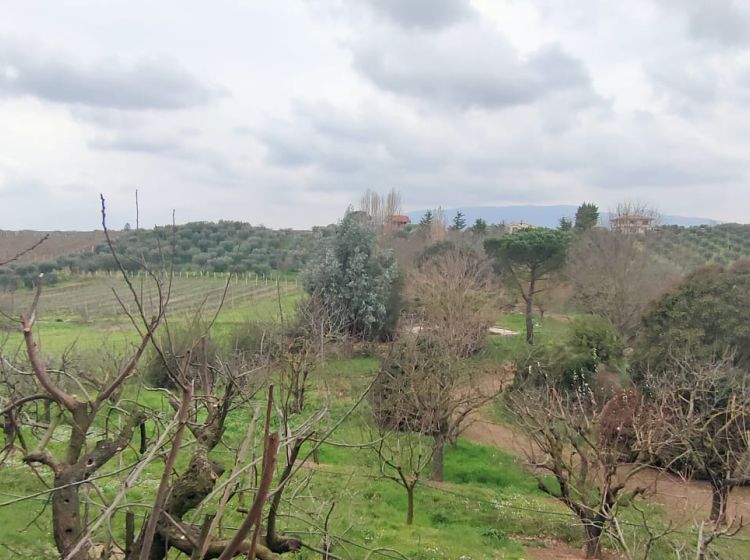 Villa in vendita, Contrada Colle Pigna, Giulianello, Cori