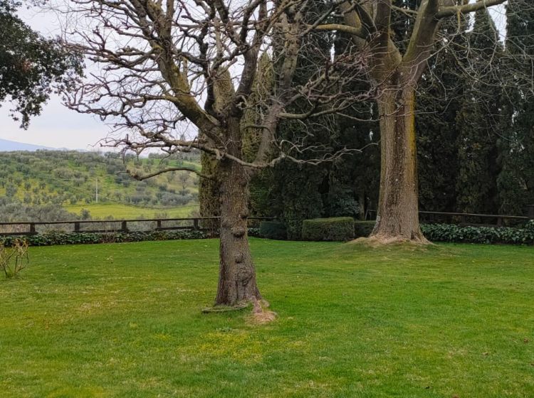 Villa in vendita, Contrada Colle Pigna, Giulianello, Cori