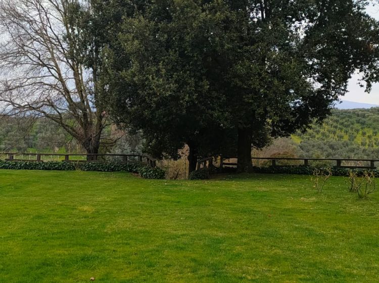 Villa in vendita, Contrada Colle Pigna, Giulianello, Cori