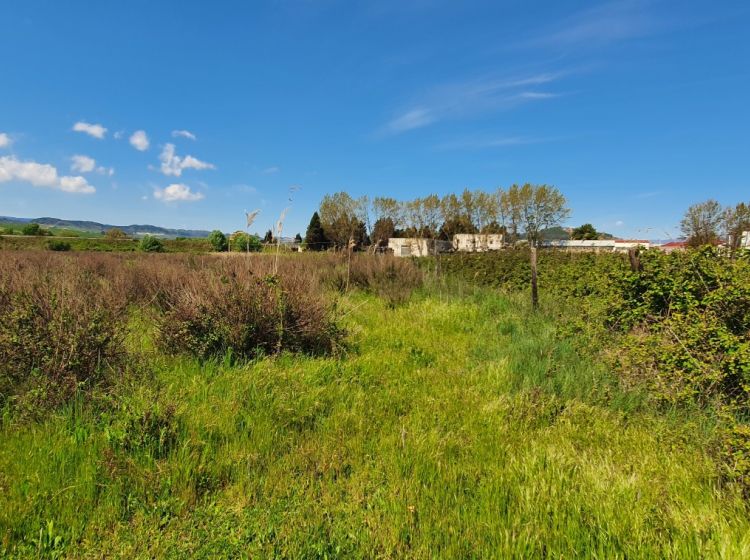 Terreno terziario in vendita, viale Europa, Germaneto, Catanzaro
