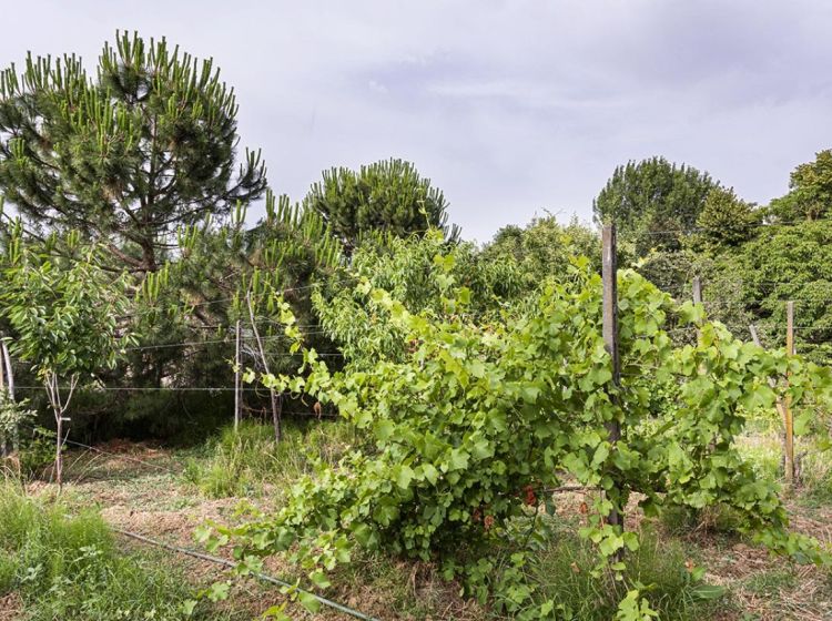 Villa in vendita, Strada Madonna  27, Casteggio