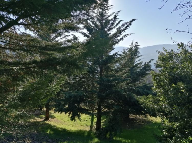 Terratetto unifamiliare in vendita, via V. Veneto  27, Pecorara, Alta Val Tidone