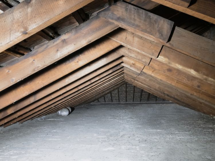 Terratetto unifamiliare in vendita, via Giuseppe Giacosa  31, Pasteur, Milano