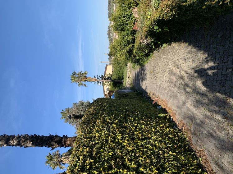 Villa in vendita, viale Vincenzo de Filippis, De Filippis, Catanzaro