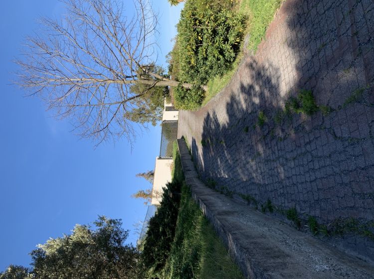 Villa in vendita, viale Vincenzo de Filippis, De Filippis, Catanzaro
