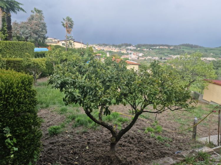 Villa in vendita, viale Vincenzo de Filippis, De Filippis, Catanzaro