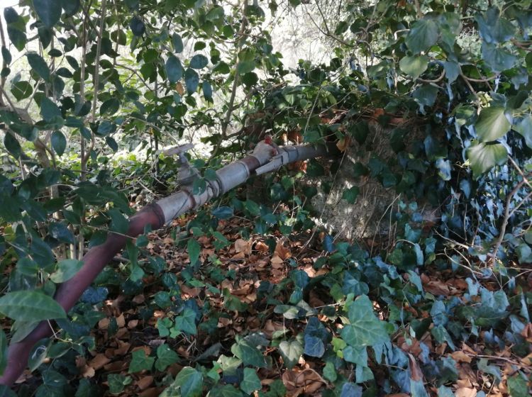Terreno agricolo in vendita, via Formale Rotondo, Campoleone, Lanuvio