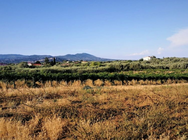 Terreno agricolo in vendita, via Formale Rotondo, Campoleone, Lanuvio