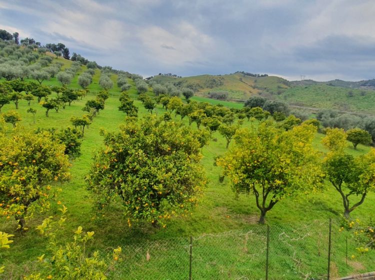 Stabile o palazzo in vendita, Strada Statale 107 Silana Crotonese, Apriglianello, Crotone