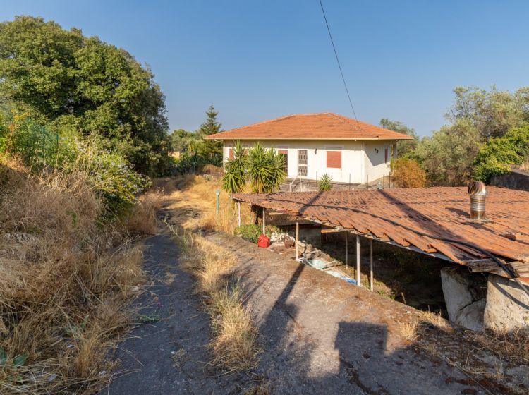 Villa in vendita, via delle Ortensie  27, Pedara