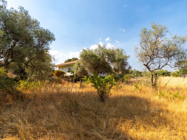 Villa in vendita, via delle Ortensie  27, Pedara