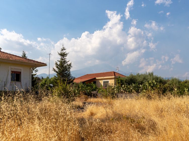 Villa in vendita, via delle Ortensie  27, Pedara
