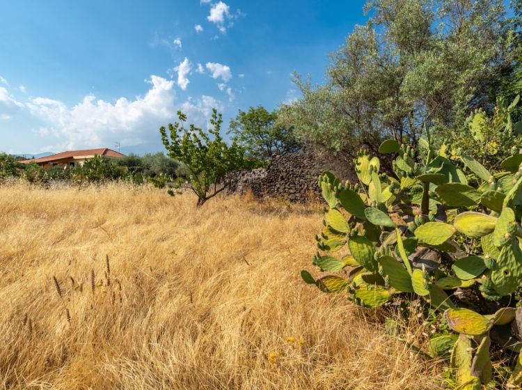 Villa in vendita, via delle Ortensie  27, Pedara
