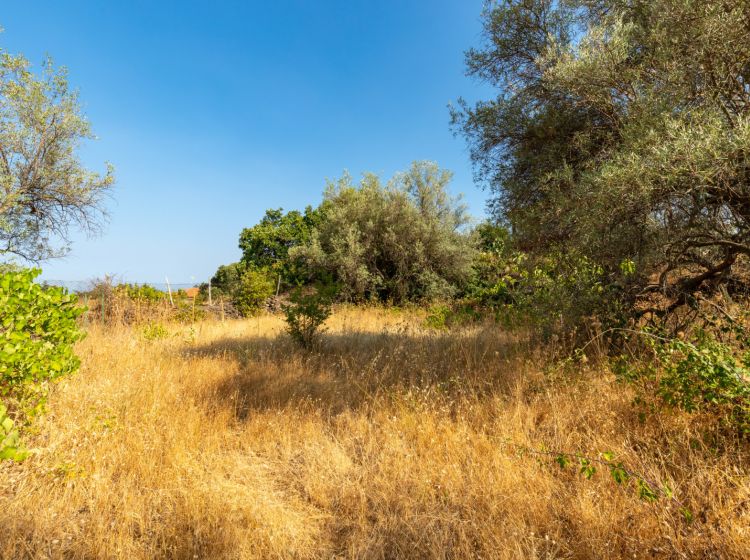 Villa in vendita, via delle Ortensie  27, Pedara