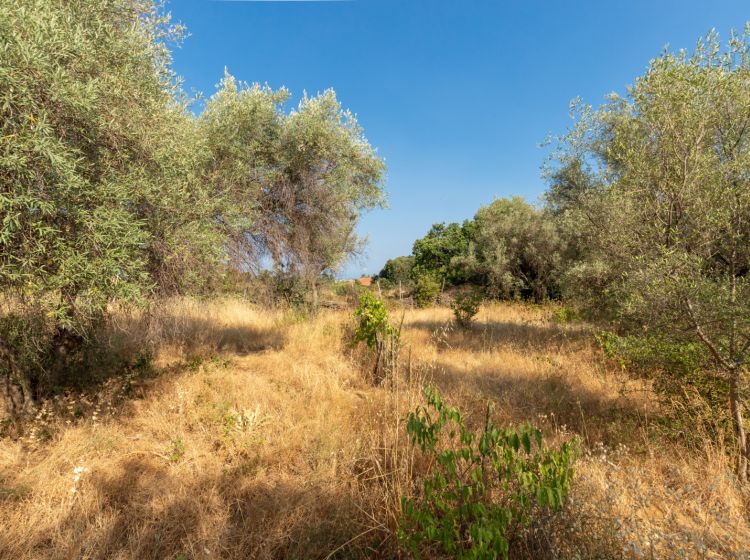 Villa in vendita, via delle Ortensie  27, Pedara