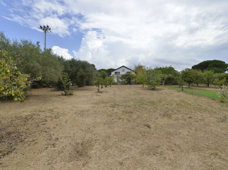 Appartamento in villa in vendita, C.da bosco Falconeria  SP17, Partinico