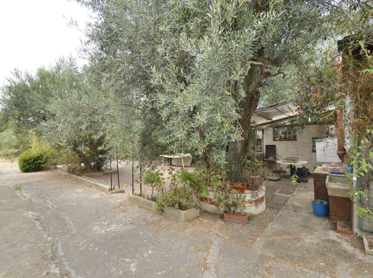 Appartamento in villa in vendita, C.da bosco Falconeria  SP17, Partinico