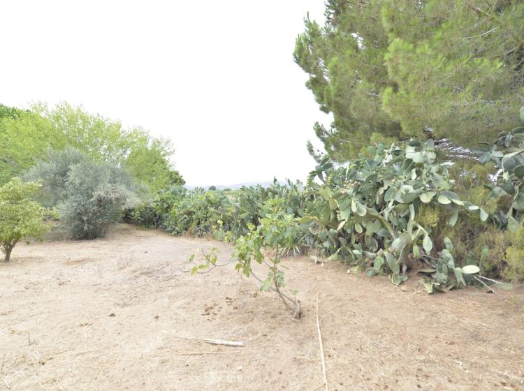 Appartamento in villa in vendita, C.da bosco Falconeria  SP17, Partinico
