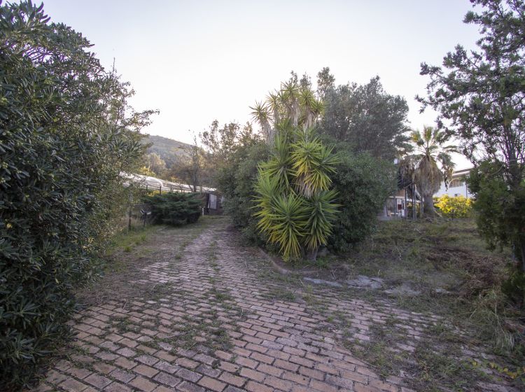 Stabile o palazzo in vendita, via Carfella', Germaneto, Settingiano