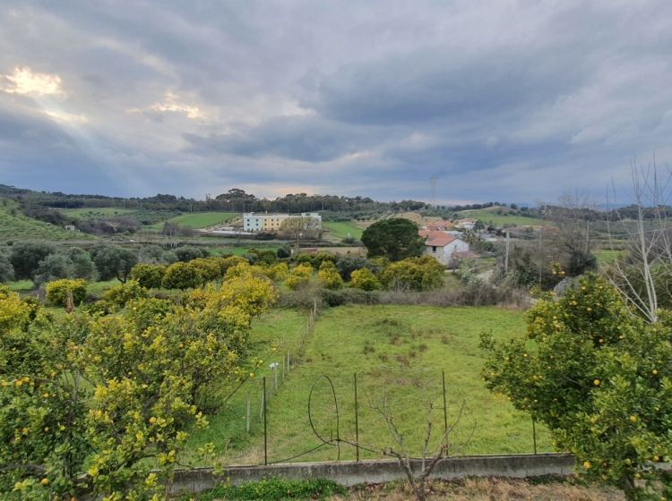 Terreno agricolo in vendita, Strada Statale 107 Silana Crotonese, Iannello, Crotone